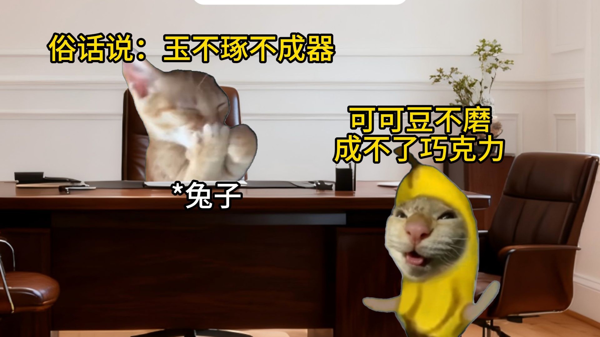 兔子最想进步的黑徒弟-疯狂猫meme剧场-疯狂猫meme剧场-哔哩哔哩视频