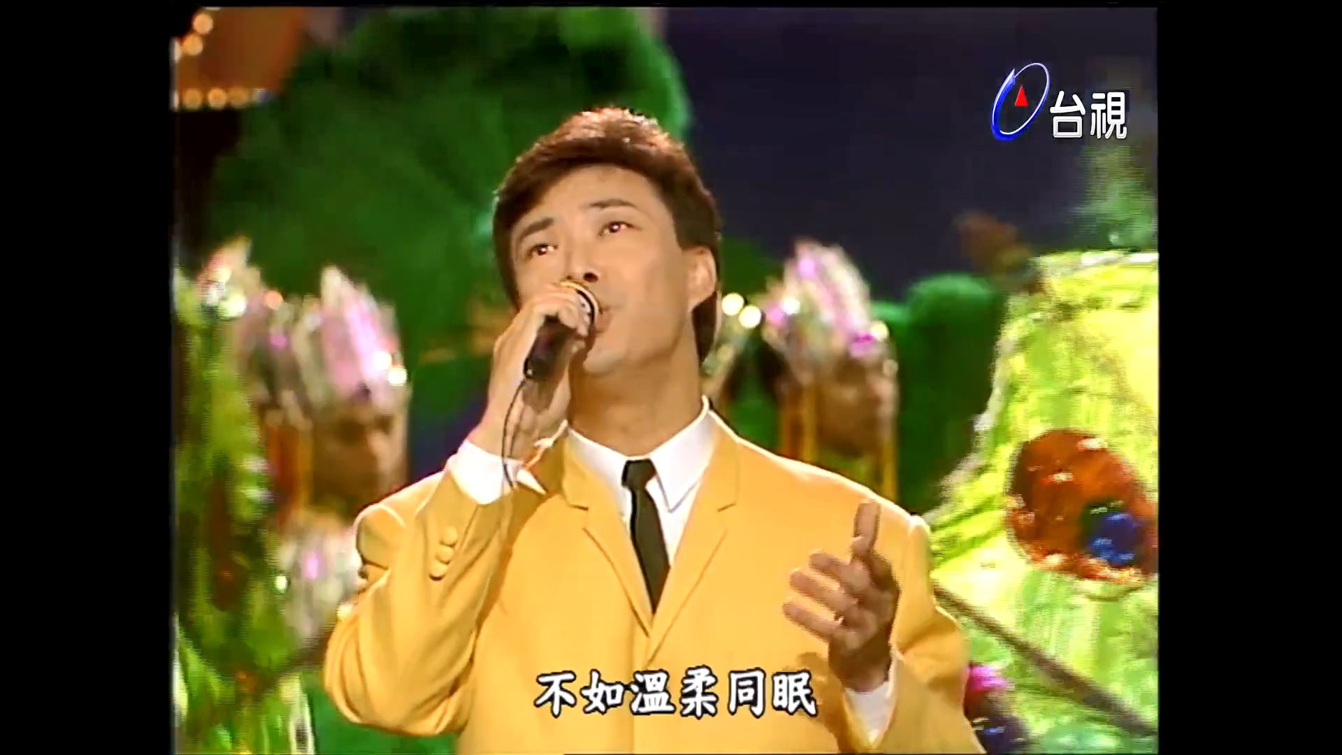 费玉清《新鸳鸯蝴蝶梦》,费玉清,张菲《得意的笑》台湾综艺《龙兄虎弟