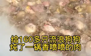 Download Video: 给160只流浪狗狗炖了一锅香喷喷的肉