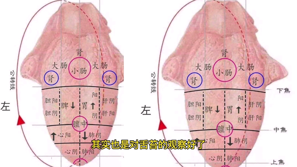 [图]舌诊的知识