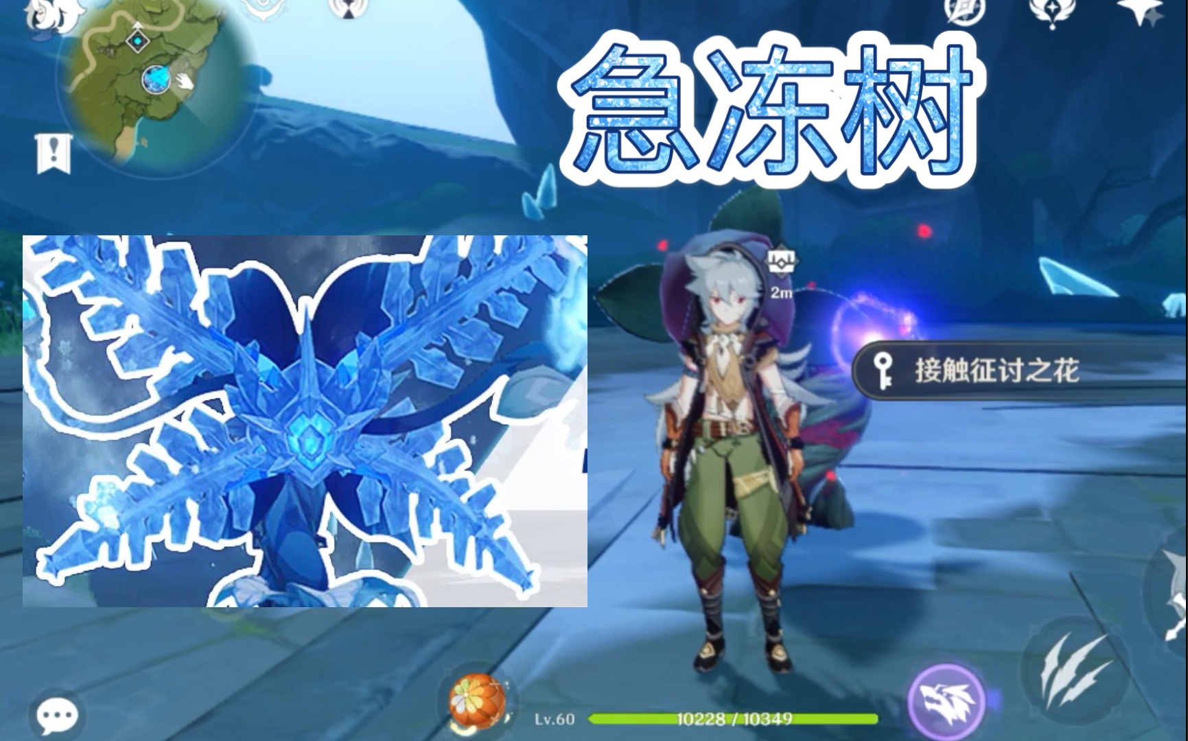 这急冻树真好吃(瓜天《原神》急冻树攻略)