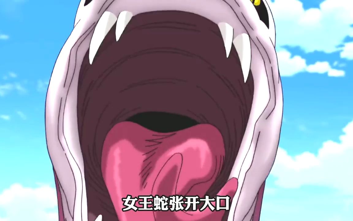 万蛇之母的女王蛇,成年后的身体长度竟然可以缠绕地球一周