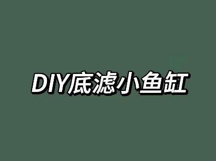 想省钱?一起来DIY鱼缸吧哔哩哔哩bilibili