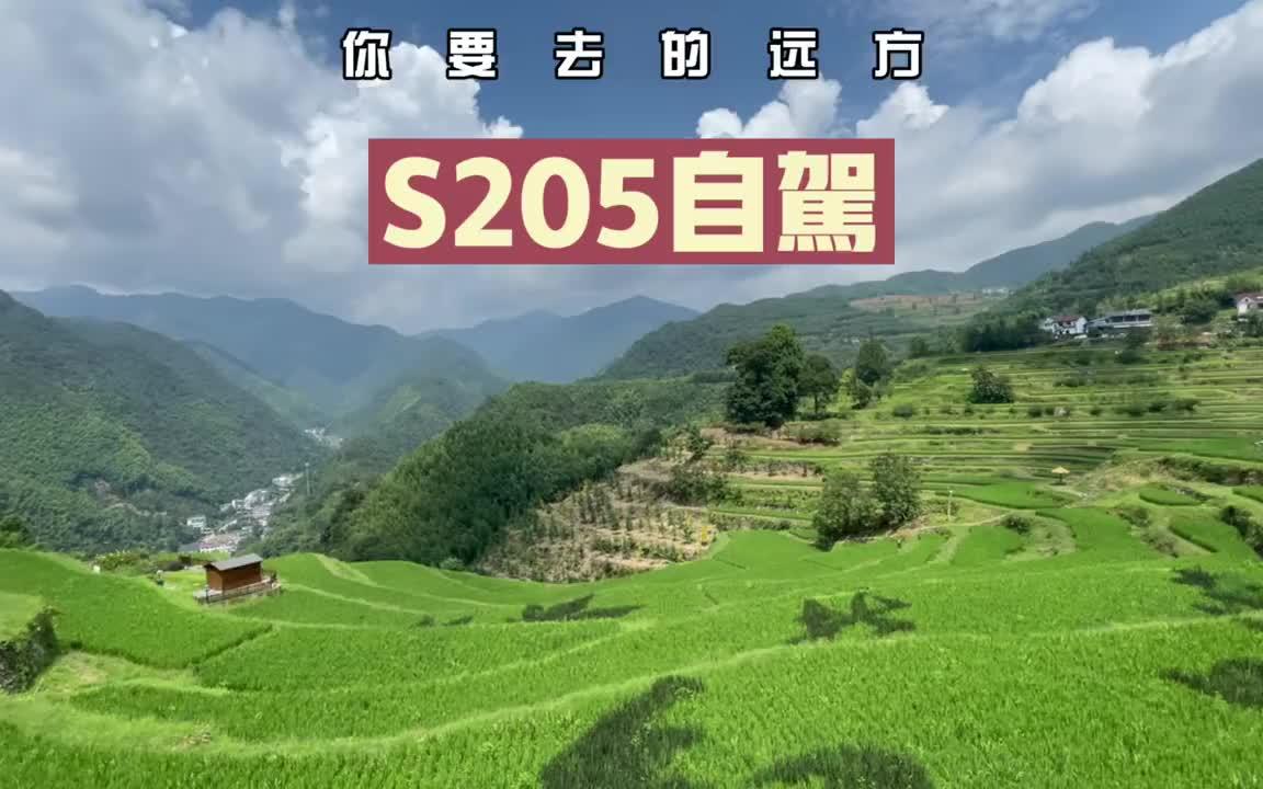 从安吉到临安的s205省道,自驾游入门级路线哔哩哔哩bilibili