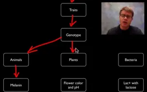 Descargar video: 【AP Biology】AP生物最核心概念全讲通Biology Video Essentials