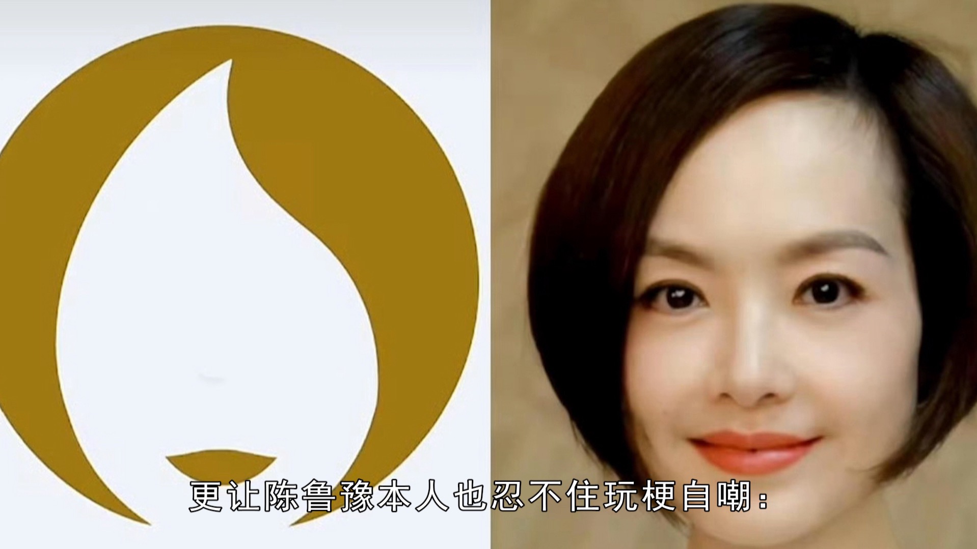 陈鲁豫回应撞脸巴黎奥运会会徽:不能说一模一样只能说毫无差别!