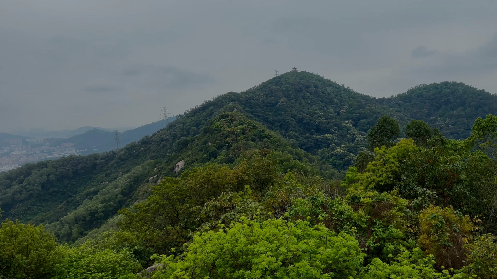 苹果12pm拍摄,后期调过色.