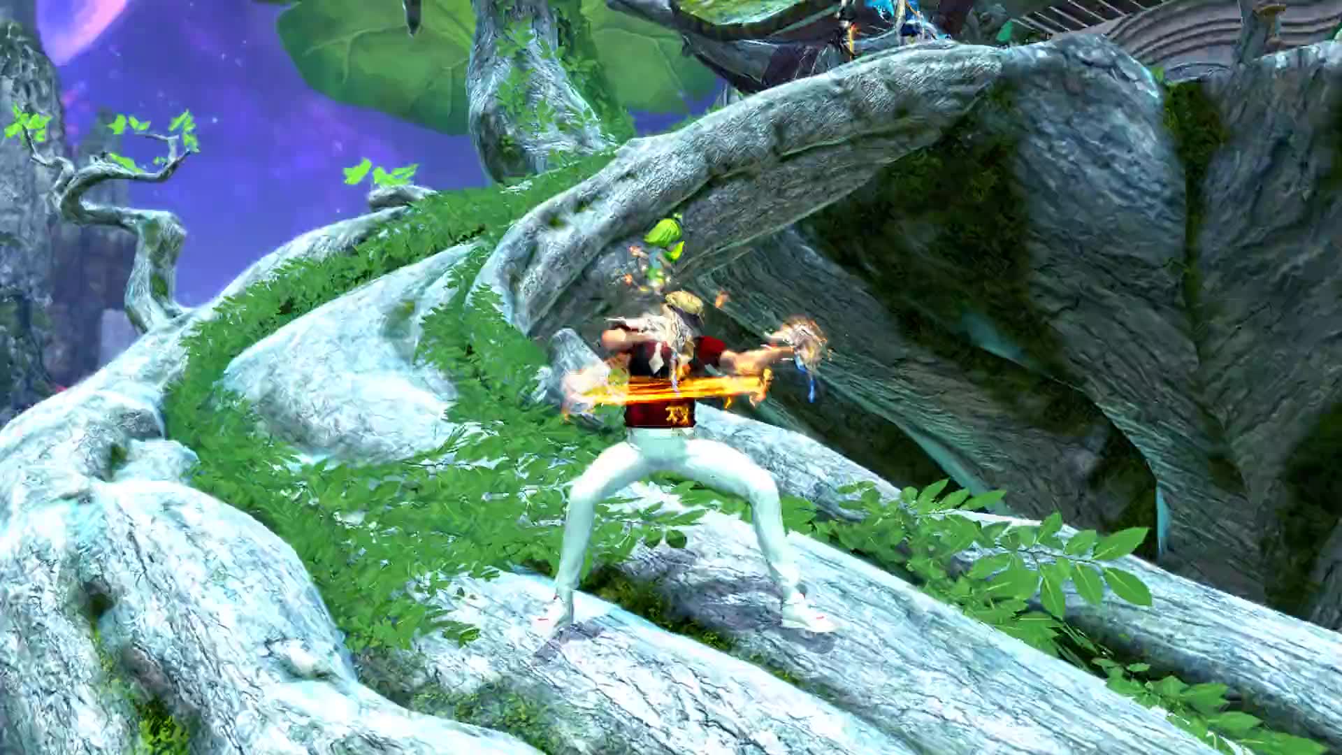 剑灵 拳师 风魂无极外形展示