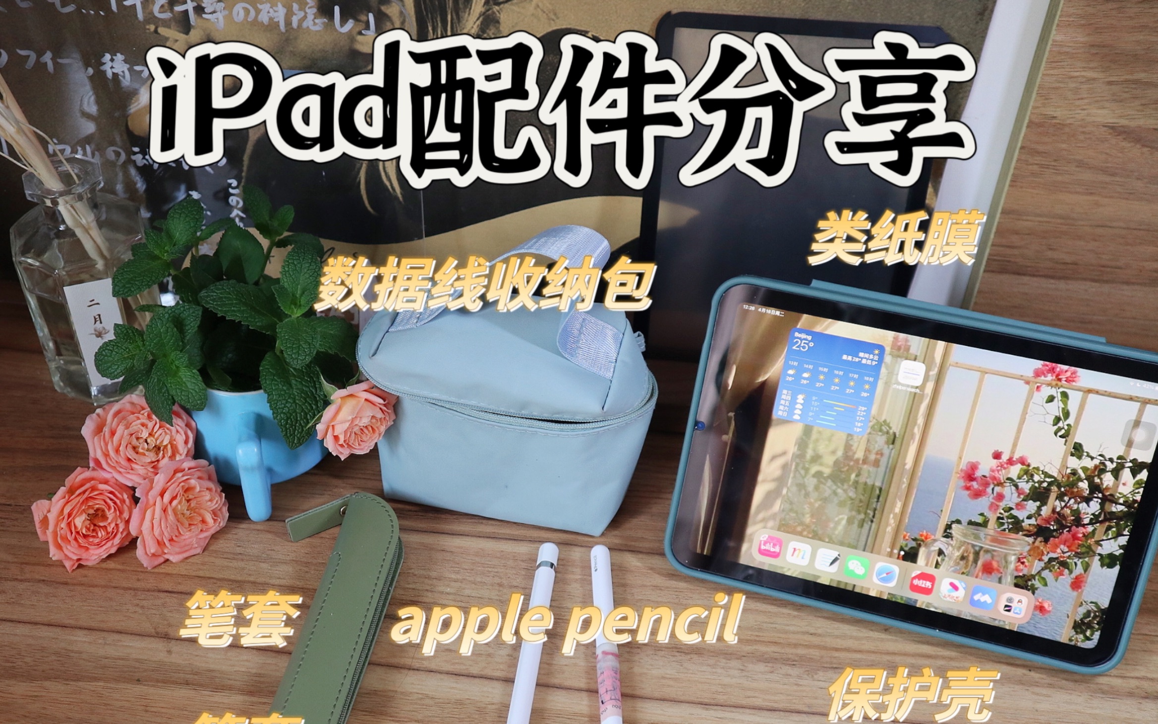 iPadmini6配件分享|保护壳|类纸膜|静音笔尖|笔套|数据线收纳包哔哩哔哩bilibili