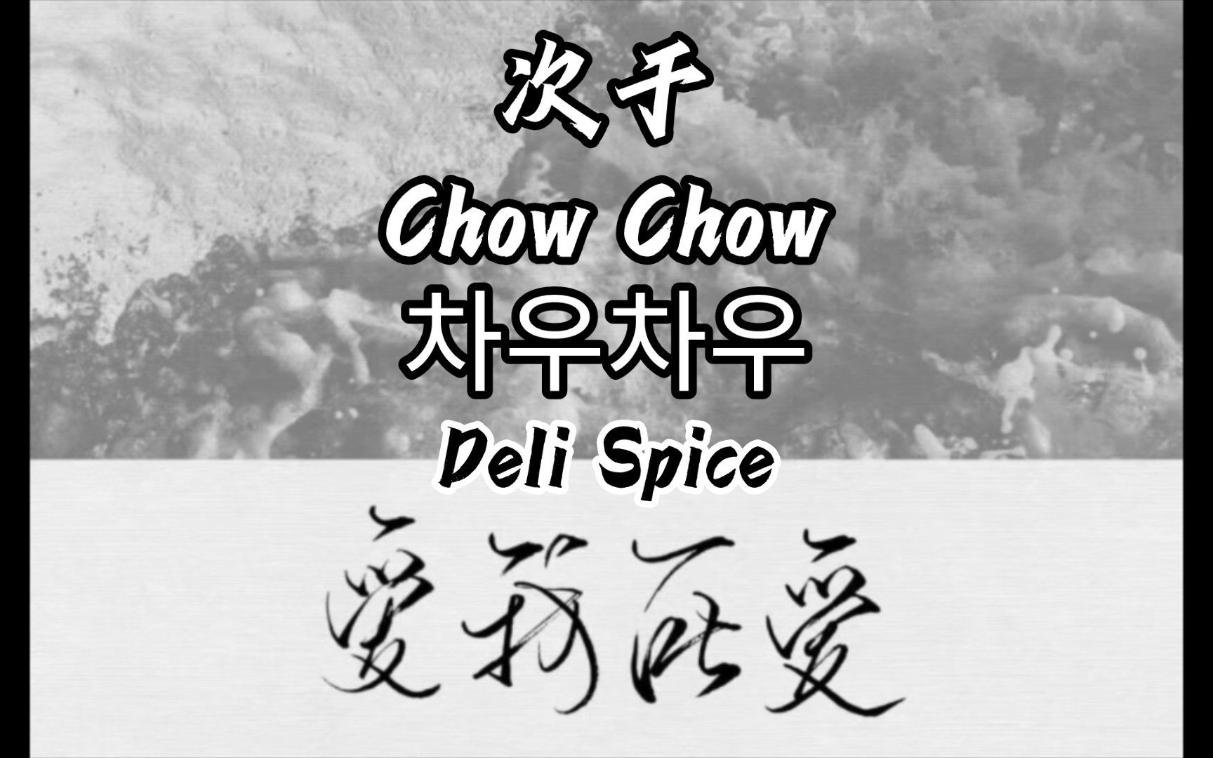 次于(chow chow)- deli spice