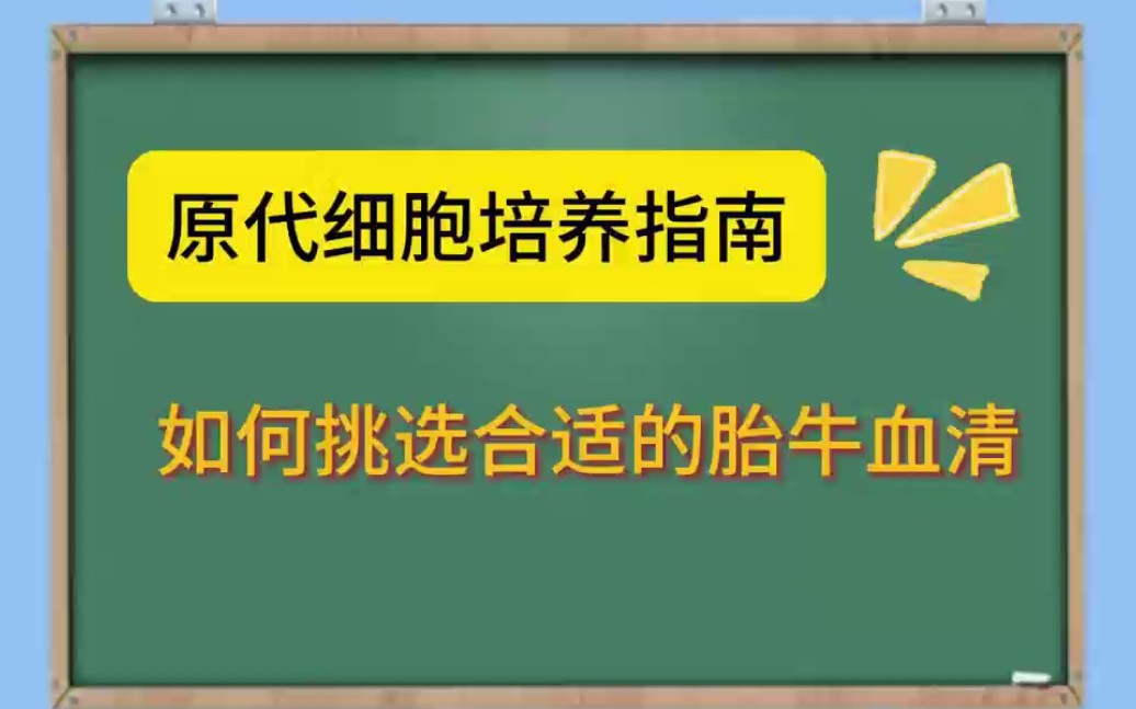 原代细胞培养指南之如何挑选合适的胎牛血清?哔哩哔哩bilibili