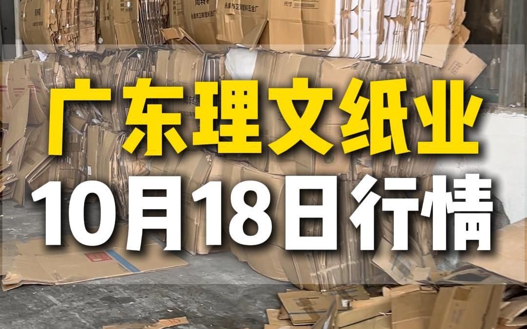 10月18日广东东莞理文纸业今日行情参考哔哩哔哩bilibili