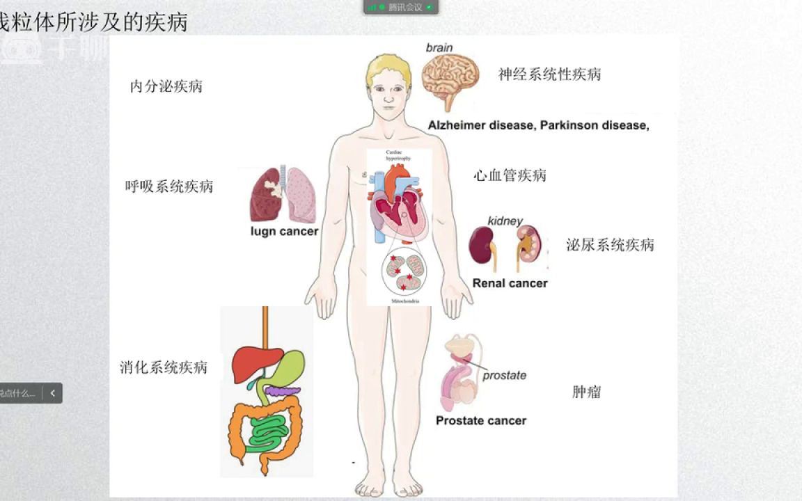 1更多医学课请加微信782878241241医学会员免费学哔哩哔哩bilibili