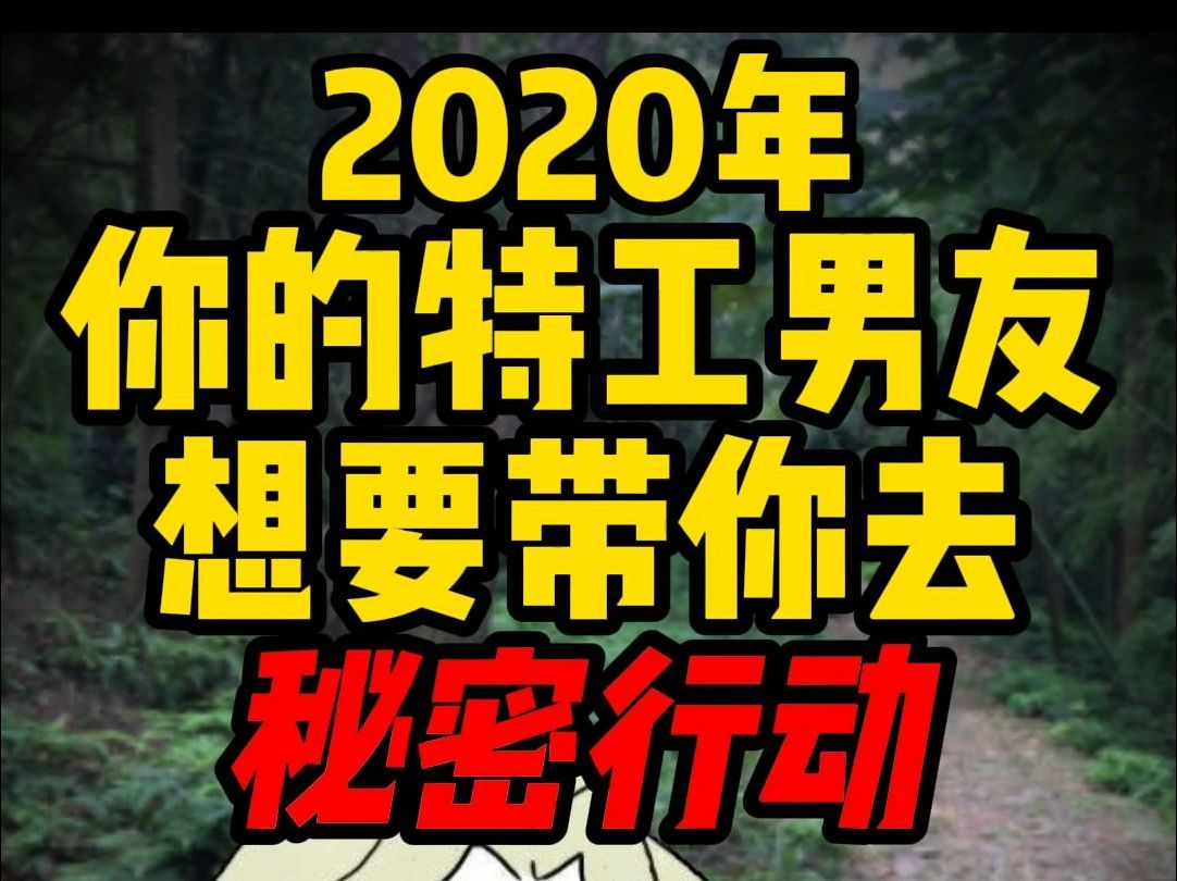 【真实案件】2020年,你的特工男友想要带你去秘密行动...哔哩哔哩bilibili