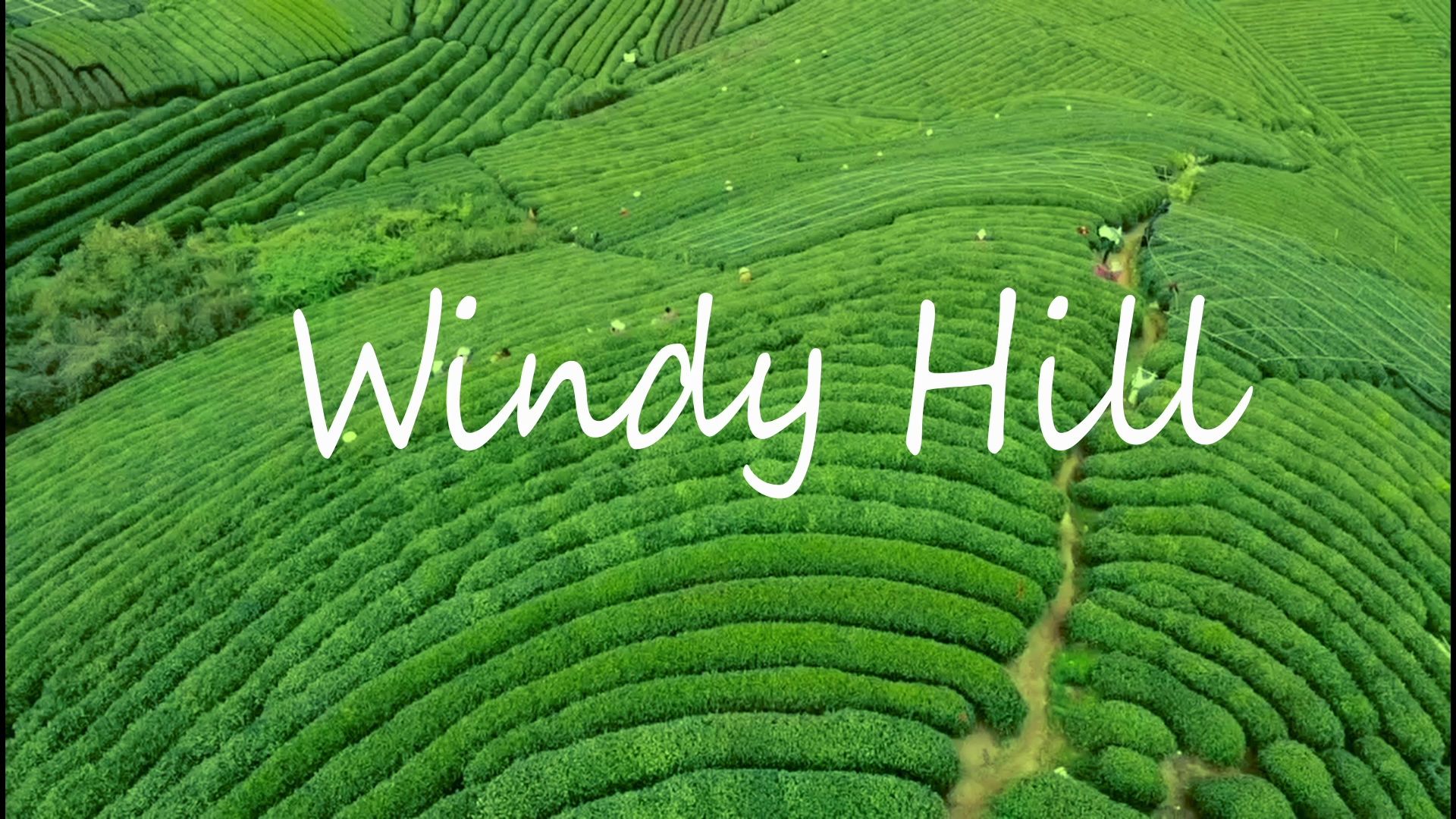 [图]【航拍】Windy Hill-山谷中聆听大自然的声音