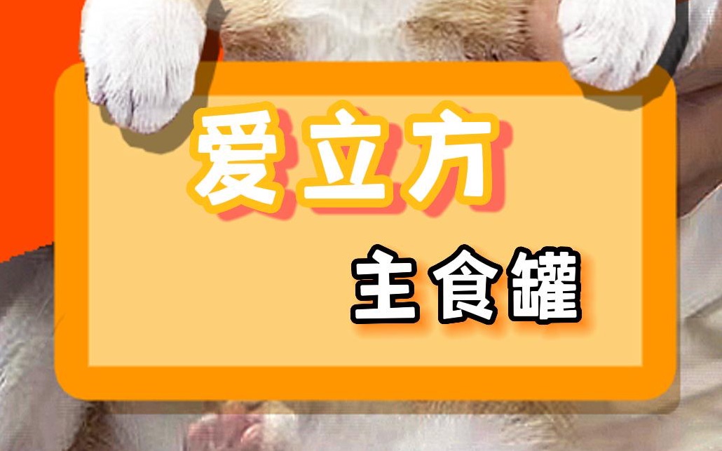 爱立方罐头测评终于来了!哪位粉丝点的餐快来看啦!哔哩哔哩bilibili