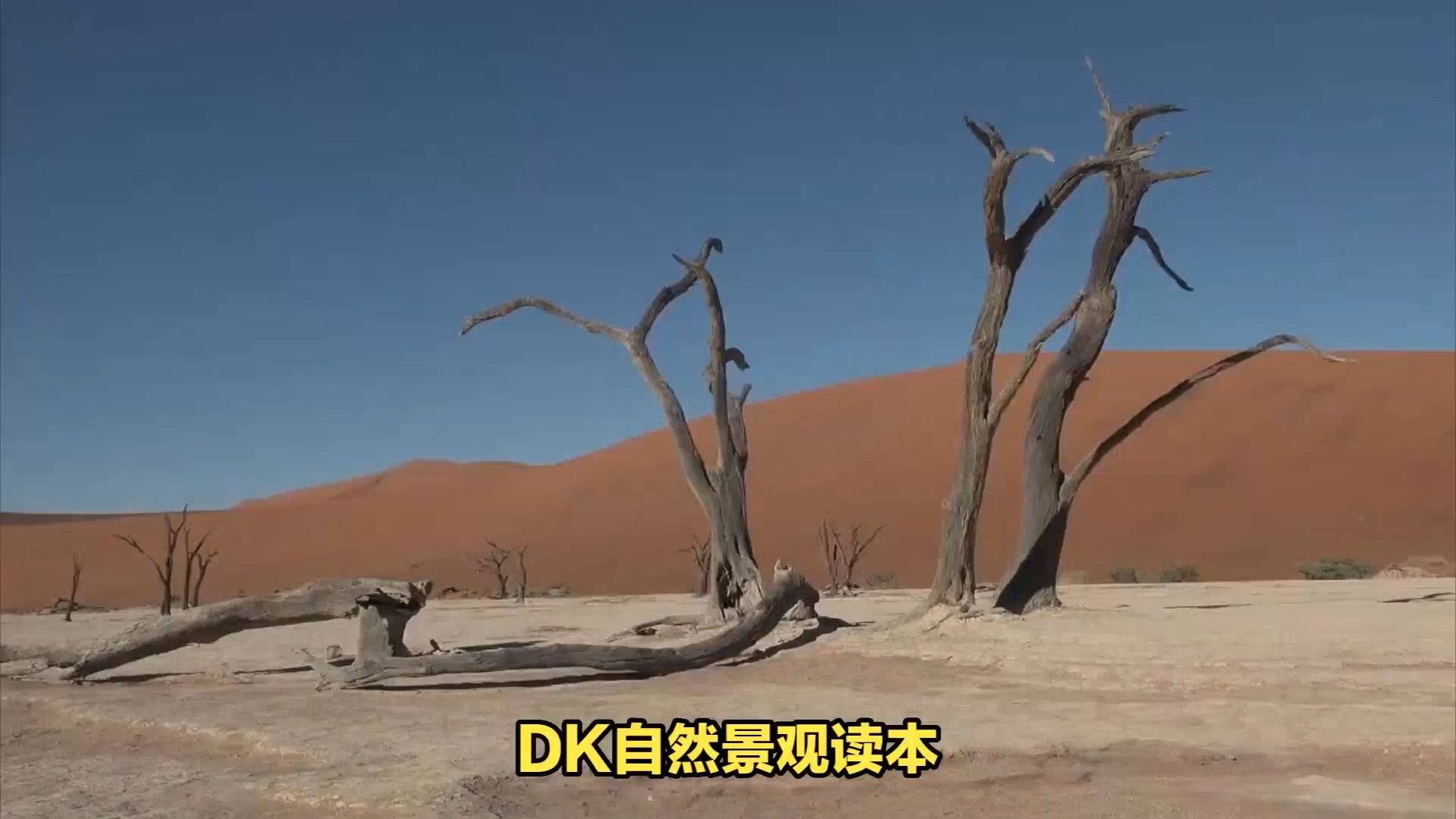 原版英语教材21:DK自然景观读本哔哩哔哩bilibili