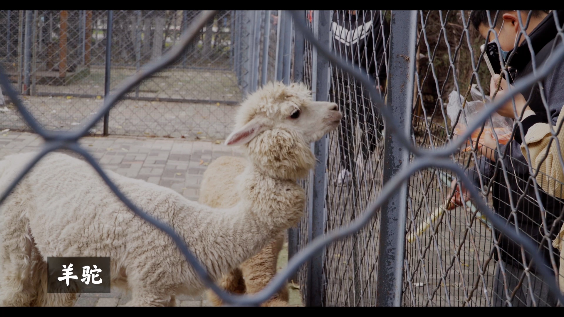 沈阳长白岛动物园_哔哩哔哩_bilibili