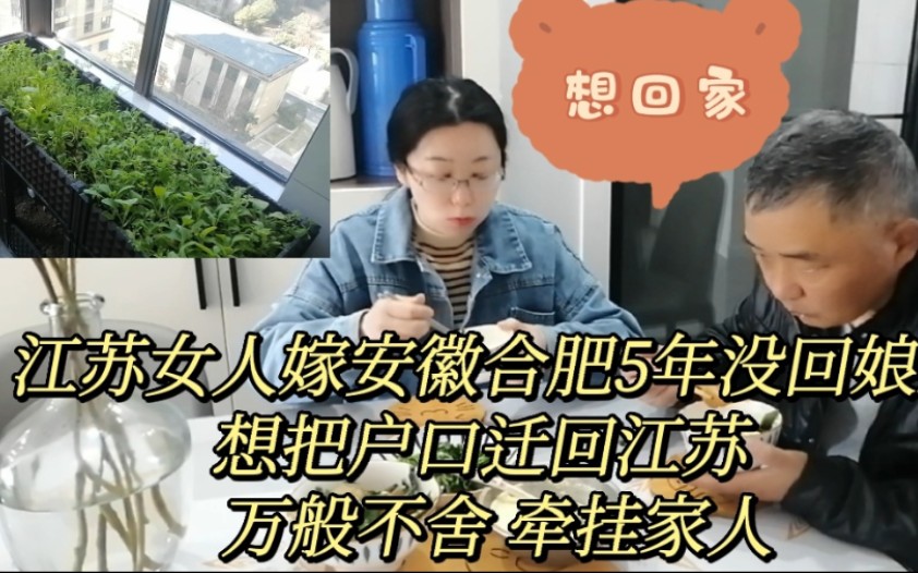 江苏女人嫁合肥5年没回家,想把户口迁回江苏,万般不舍牵挂家人哔哩哔哩bilibili