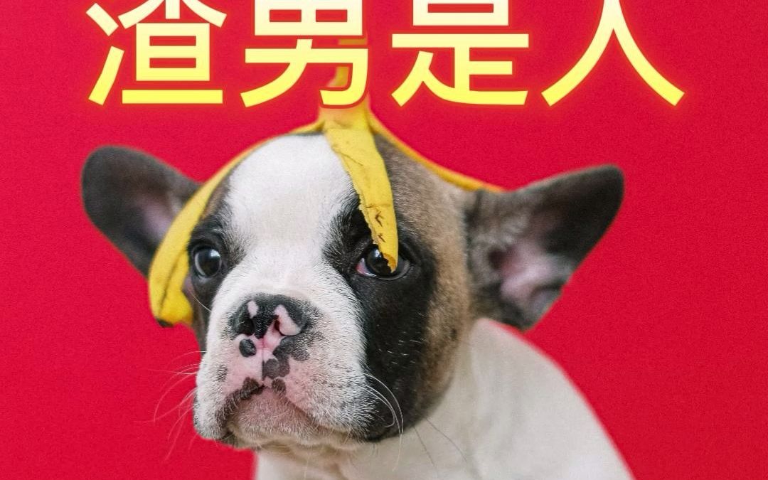 舔狗是狗,渣男是人