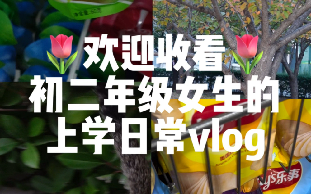 08/初二年级女生的上学日常vlog哔哩哔哩bilibili