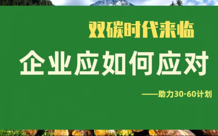 「双碳时代」来临,企业应如何应对——助力30ⷶ0计划#安永ESG哔哩哔哩bilibili