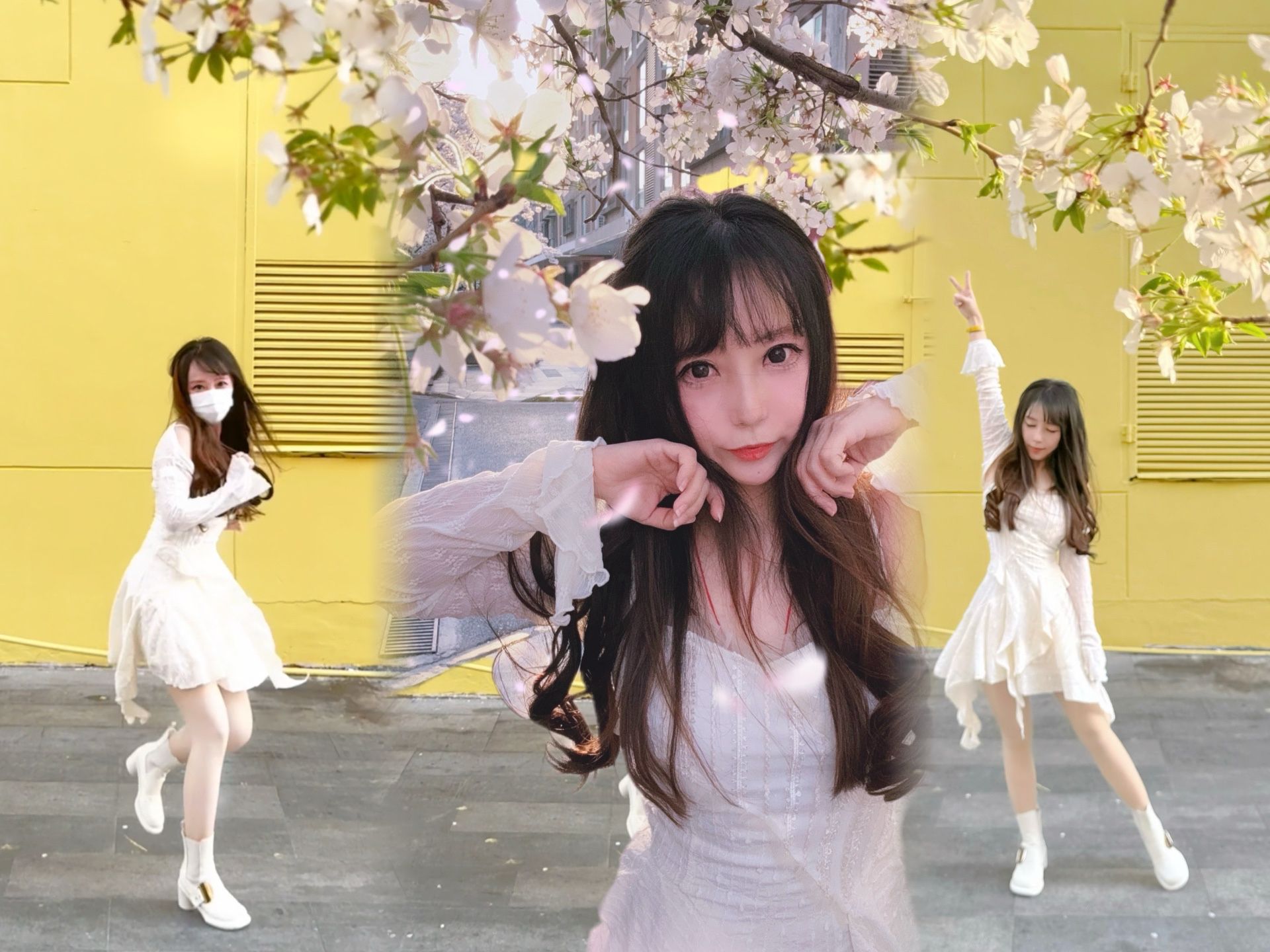 边赏樱变跳舞,然后我顺拐了.