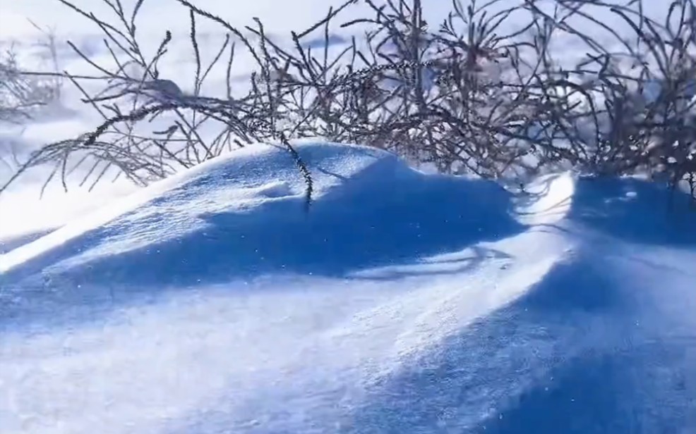 寒风凛冽风吹雪,有点想念新疆牧区的冬天了