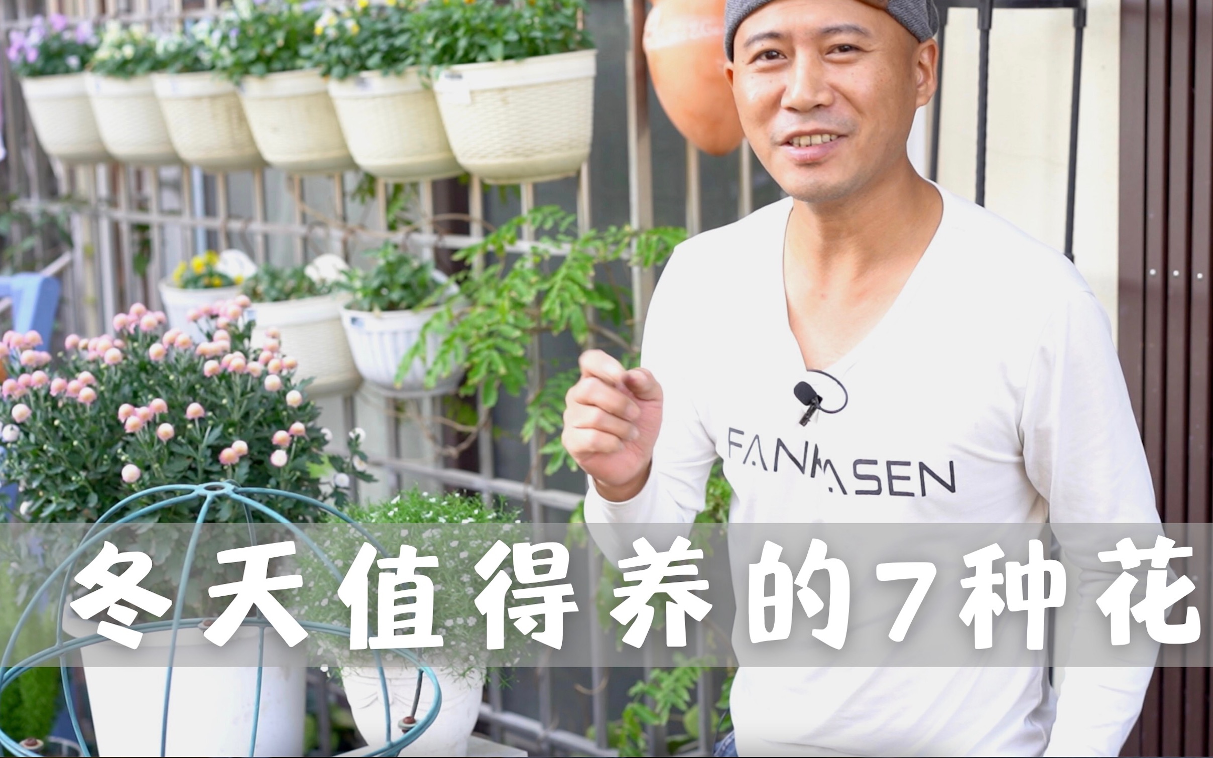 [图]冬天值得养的7种花，种下后1个月就能开，春天一到花园繁花似锦