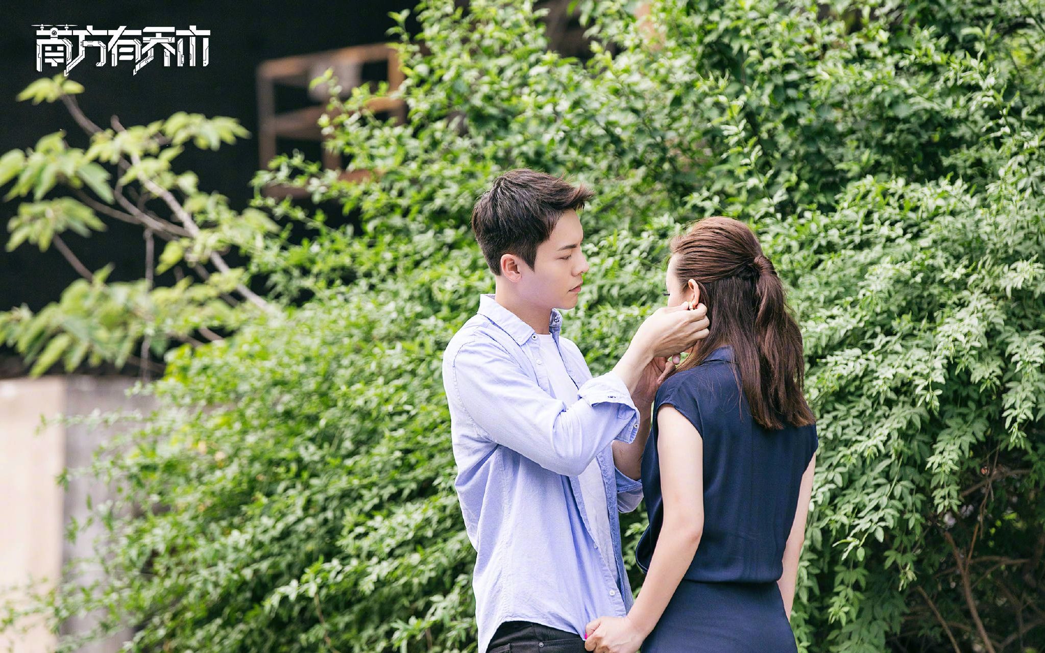 【南方有乔木】【时樾x安宁】【陈伟霆x秦海璐】【我好像在哪见过你】