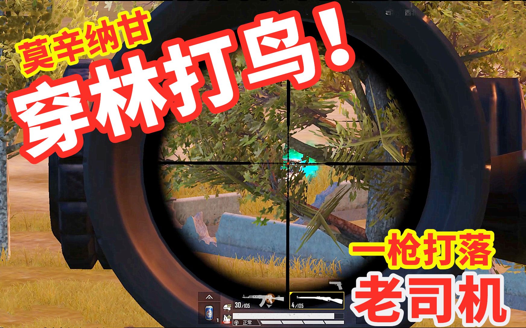 宅女喵小七:狙击手麦克附体!子弹穿过密林,一枪干掉老司机!