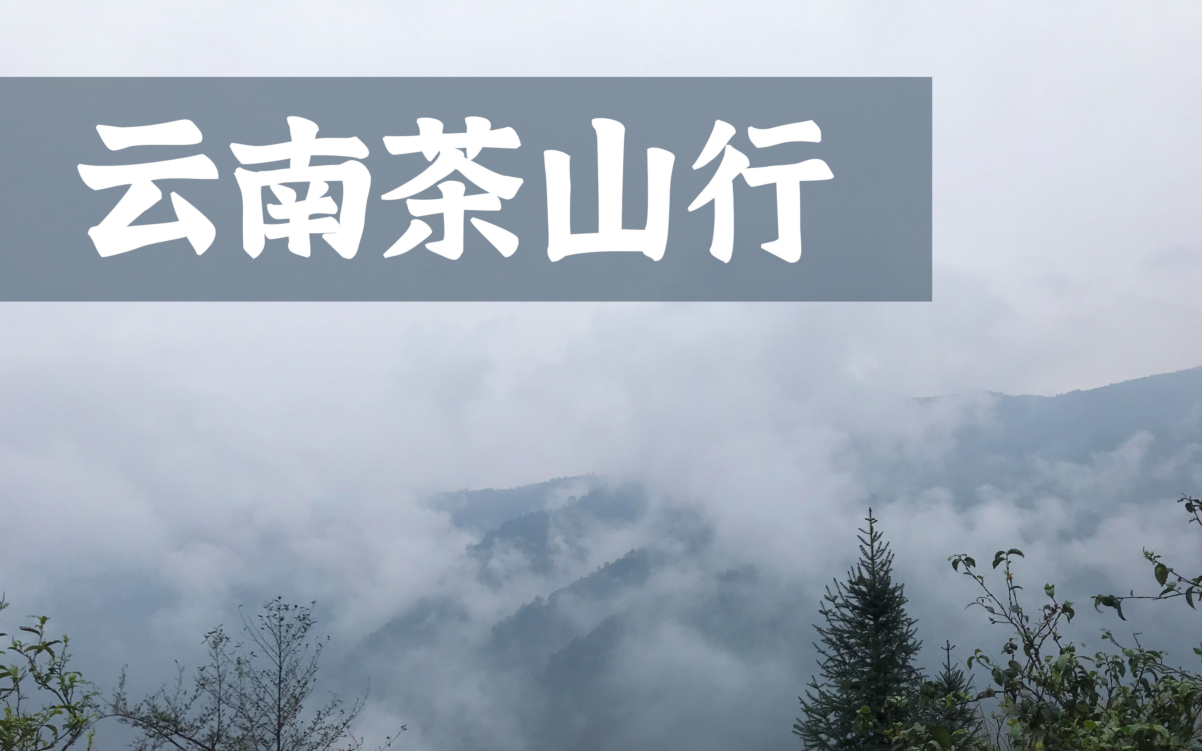 [图]子隐隅安 | 「茶山行VLOG 」云南临沧大雪山 | 风起云涌时