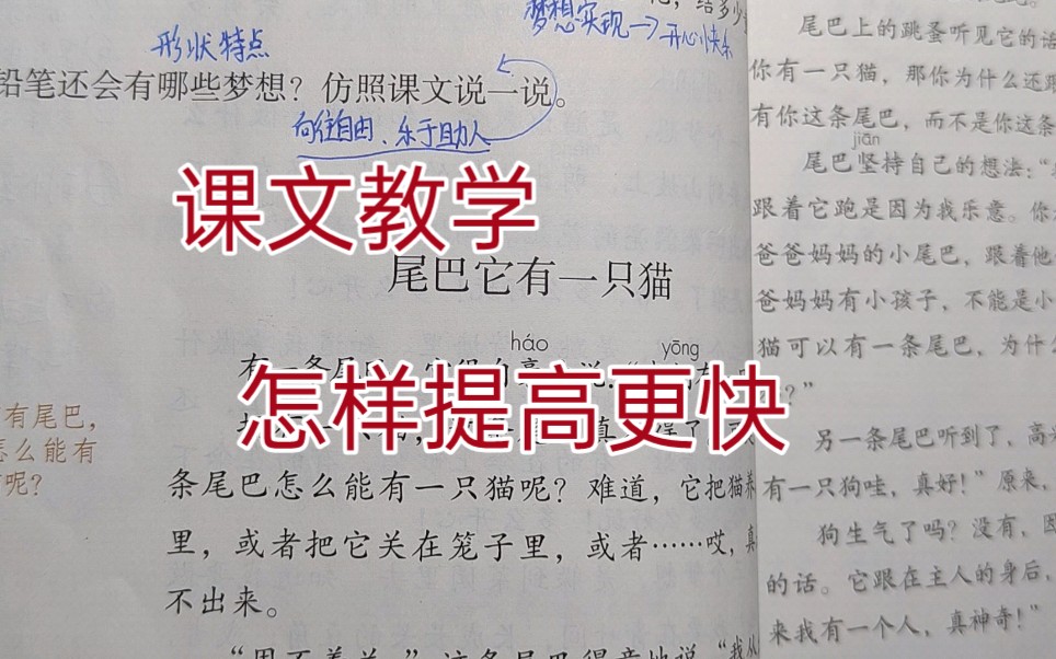 你要特别努力才能过上理想的生活,小学语文的四字诀窍,记住了哔哩哔哩bilibili