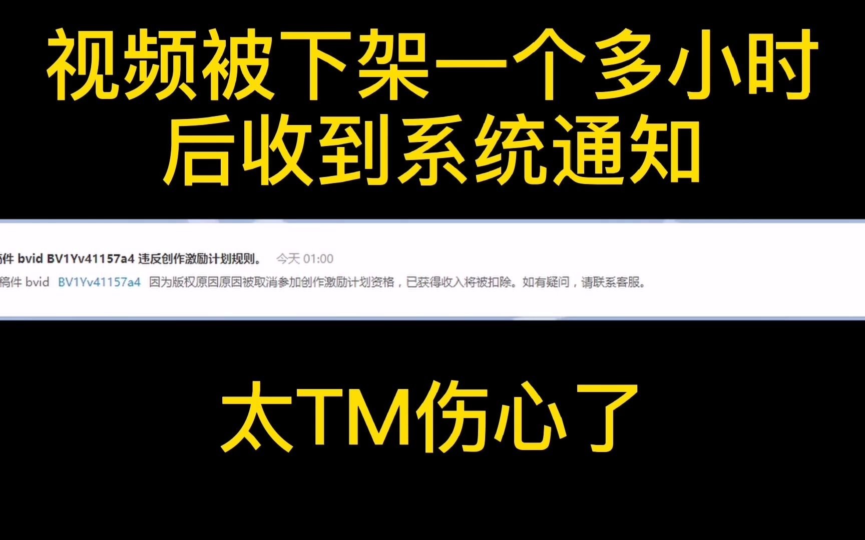 视频因为版权被下架了,说出来你们信吗(到现在还是懵逼状态)哔哩哔哩bilibili