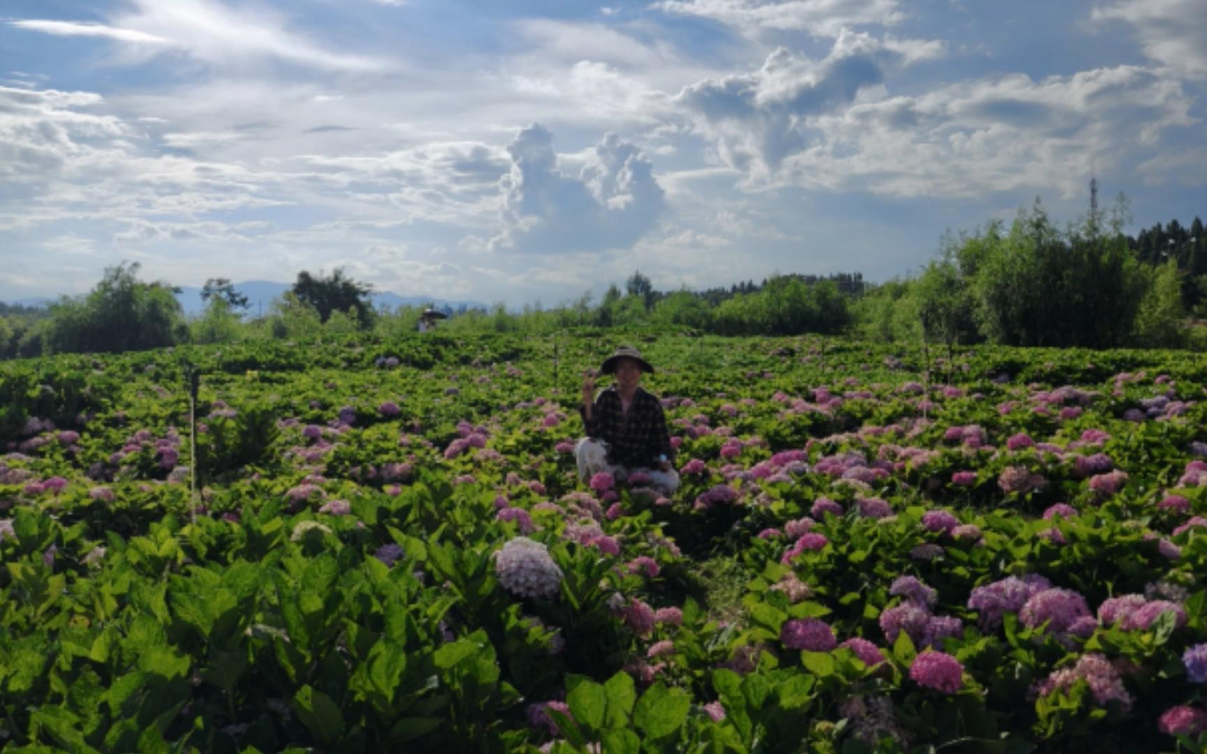 【漫步探险记】山穷水复疑无路,柳暗花明又一村!哔哩哔哩bilibili