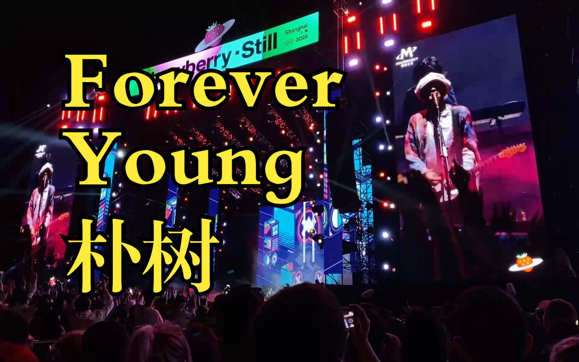 foreveryoung朴树图片