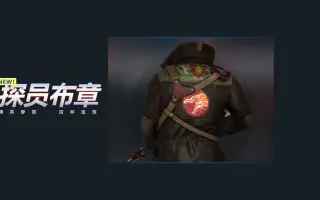 Csgo布章 搜索结果 哔哩哔哩 Bilibili