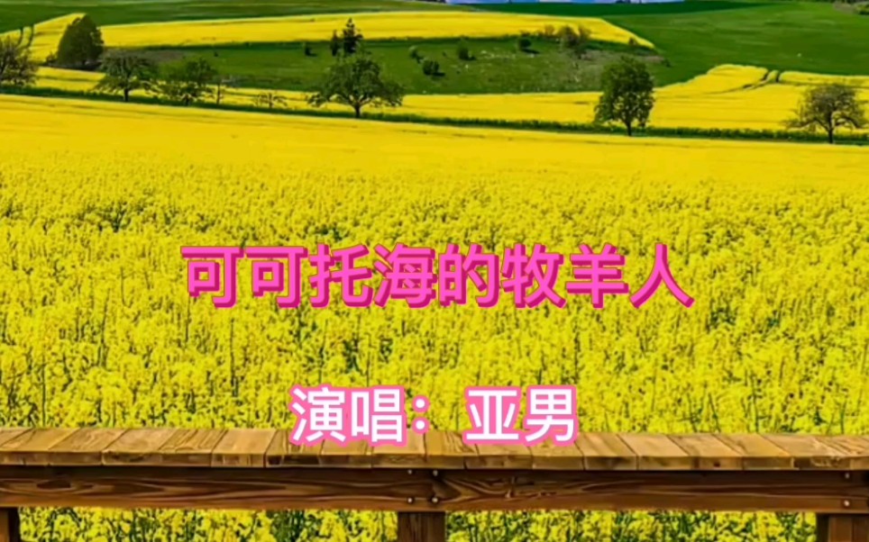 亚男翻唱版《可可托海的牧羊人》,独特的嗓音能超越王琪吗?