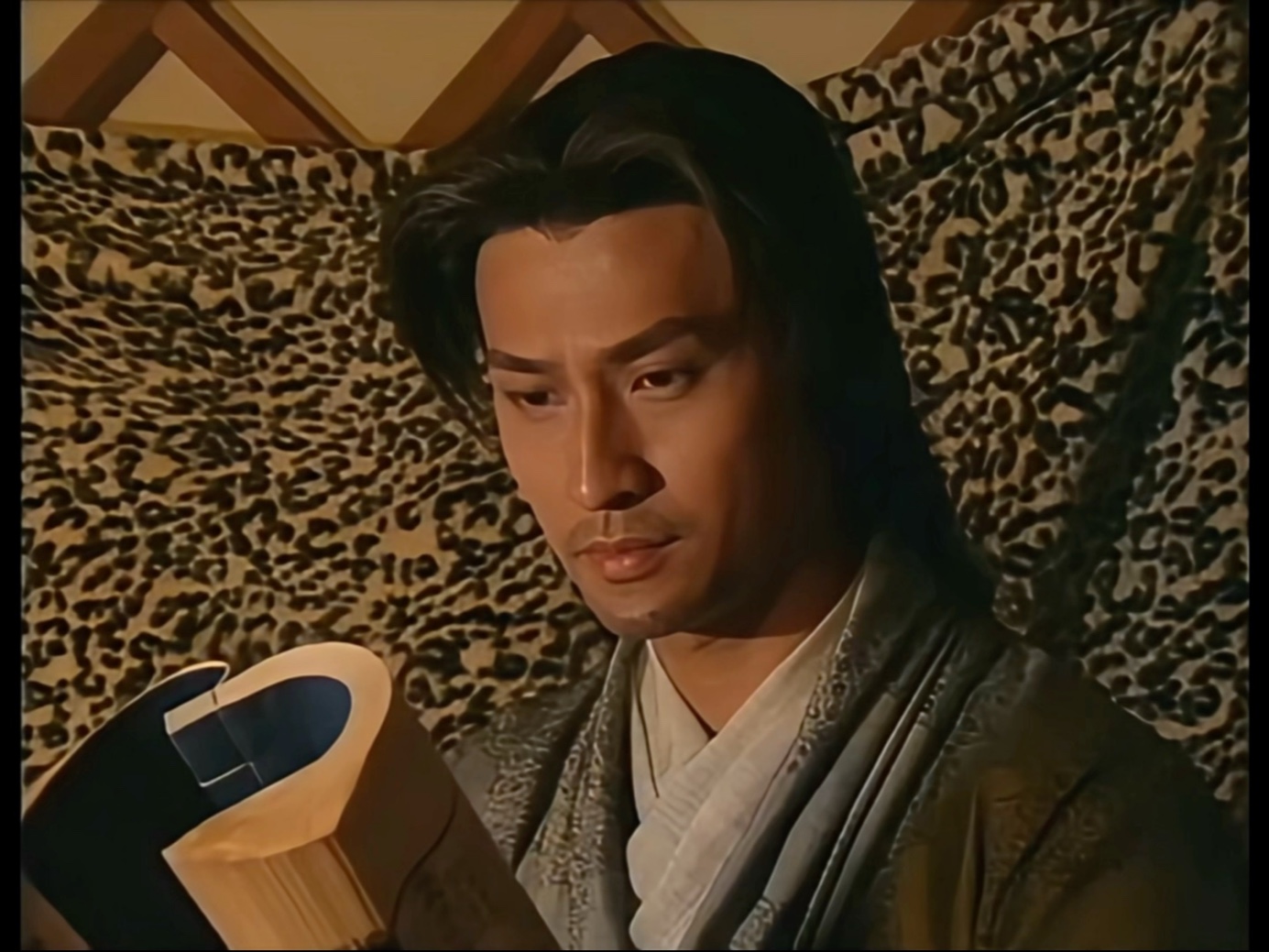 南风恋 耶律皓南 杨排风 杨家归隐