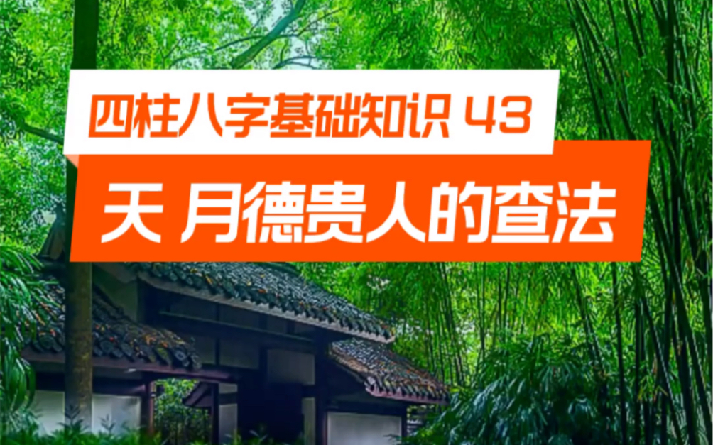 43.天德贵人 月德贵人的查法 四柱八字基础知识哔哩哔哩bilibili