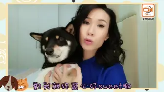 【娱乐】庄思明愛犬熱情到有朋友 2019.6.3