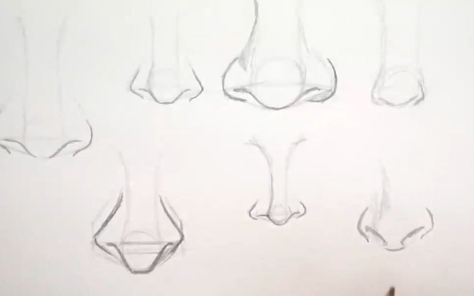 鼻子素描 简笔画图片