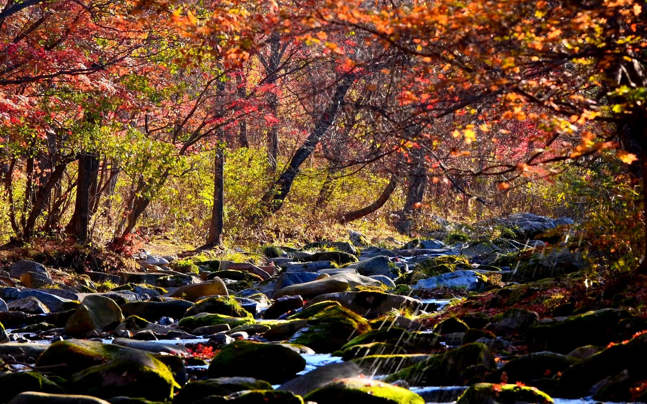 洋湖沟风景区图片