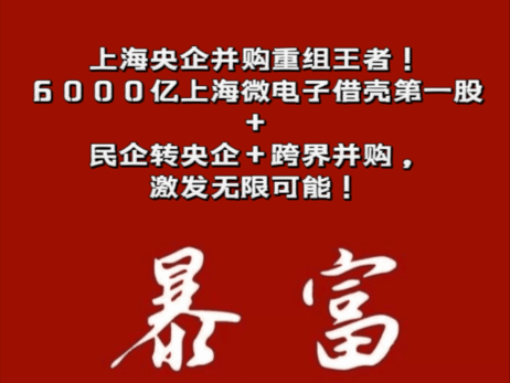 上海央企并购重组王者!6000亿上海微电子借壳第一股+民企转央企+跨界并购,激发无限可能!哔哩哔哩bilibili