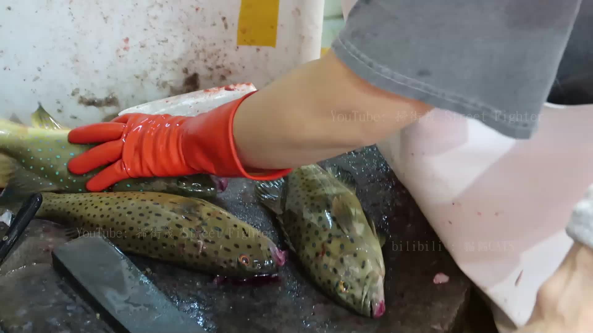 Killing Live Grouper in Seafood Market HKD$600 2.1Kg 生劏海钓油斑 石斑 3斤8两 600港MVI9405哔哩哔哩bilibili