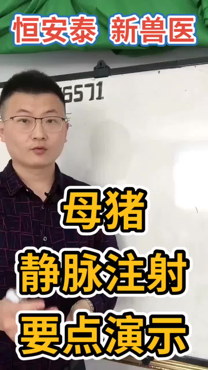 猪的耳静脉注射要点