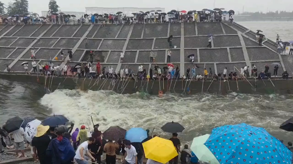 眉山市大暴雨后,水库、东坡湖等放水,眉山人民捞鱼捞的欢哔哩哔哩bilibili