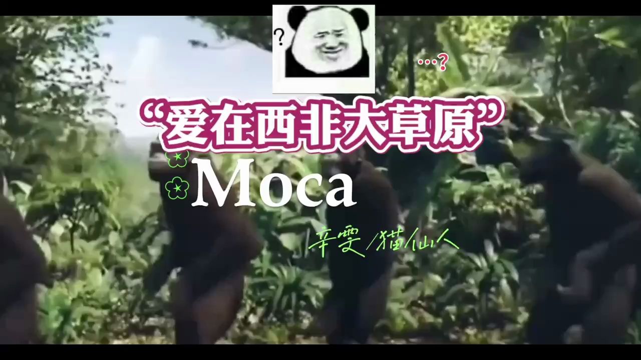 慵懒旋律说唱?NO,是西非大草原爱情故事√丨原创歌歌《Moca》哔哩哔哩bilibili