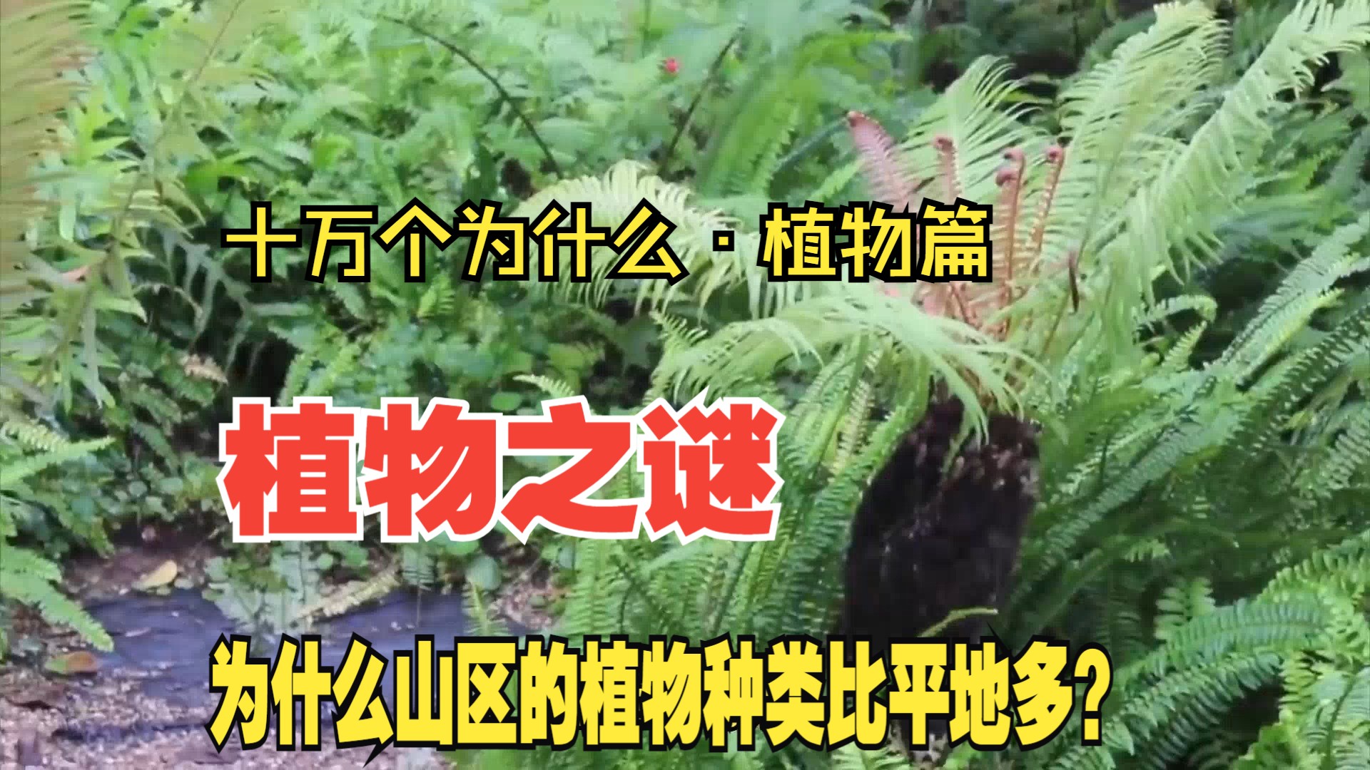"——十万个为什么·植物篇