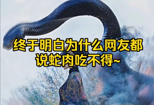 终于明白为什么网友都说蛇肉吃不得~哔哩哔哩bilibili